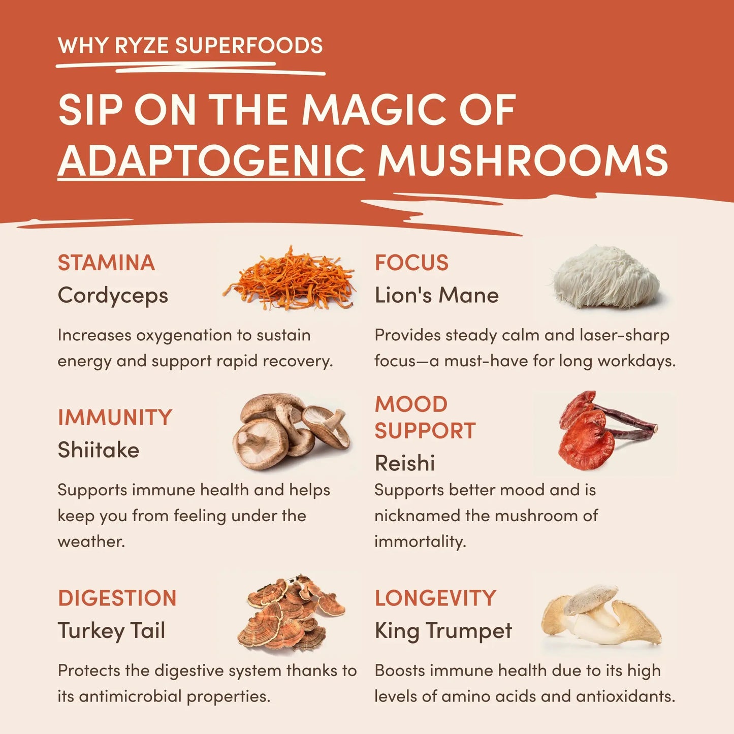 RYZE Mushroom Coffee — Organic Instant Coffee with Cordyceps & Reishi, 30 Servings